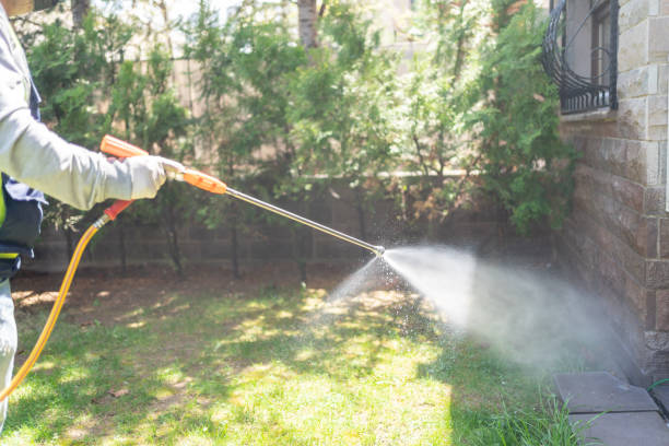 Professional Pest Control in Silver Lake, NJ